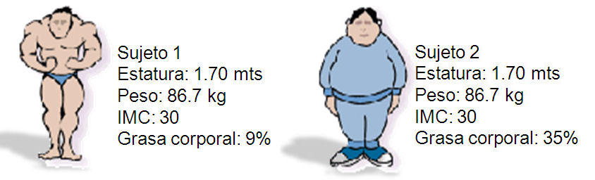 Porcentaje masa muscular